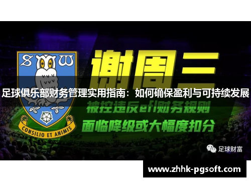 足球俱乐部财务管理实用指南：如何确保盈利与可持续发展