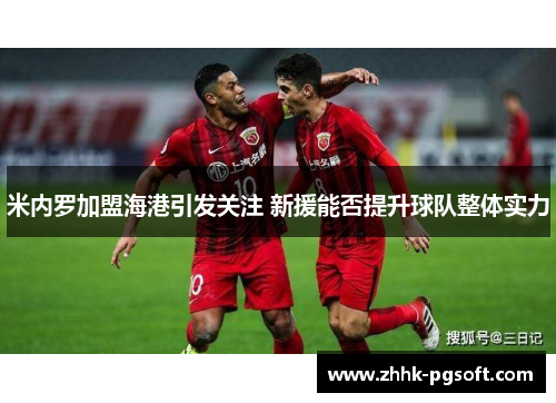 米内罗加盟海港引发关注 新援能否提升球队整体实力